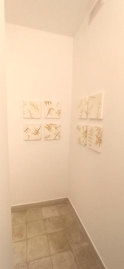 Casa Nella Pietra Viva Apartment Bari Luaran gambar